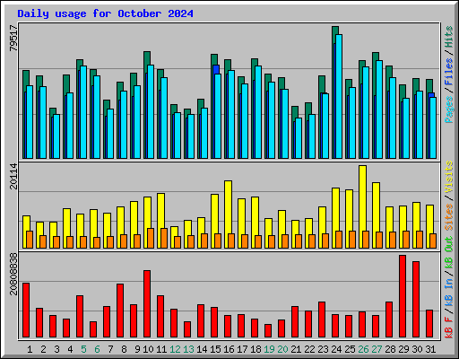 Daily usage for October 2024